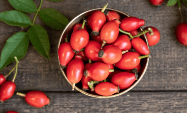 Hagebutte – Powerfrucht des Herbstes