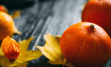 Hokkaidokürbis – der farbenfrohe Herbstfavorit