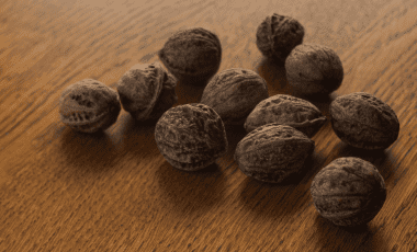 Schwarze Nüsse – kandierte Spezialität aus der Pfalz