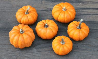 Mythos: Kürbis niemals roh verzehren!