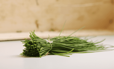 Schnittlauch – kleine Halme große Wirkung