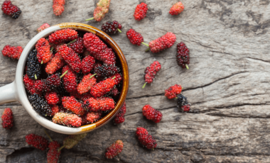 Maulbeeren – mit Geschichte und Zukunft