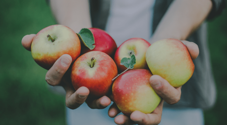 Hände gefüllt mit frischen Äpfeln.
