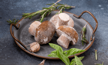 Champignons – einfrieren, zubereiten, selber züchten!