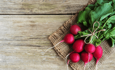 Radieschen: Mini-Knolle mit Biss