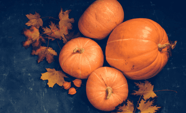 Kürbis – vielseitiger und beliebter Herbstklassiker