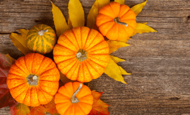 Kürbis einfrieren, lagern und haltbar machen!