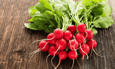 Radieschen lagern – so bleiben sie knackig!