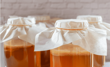Wie Sie einen Kombucha Pilz aufbewahren können