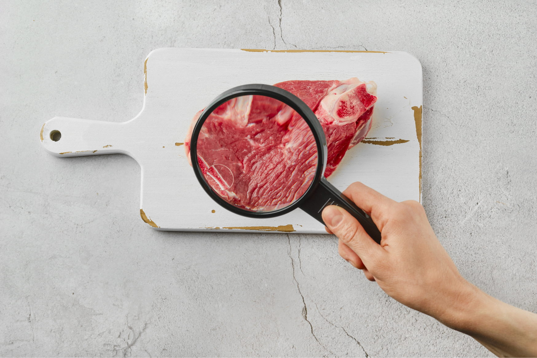 Was ist In-vitro-Fleisch? - FreshMAG