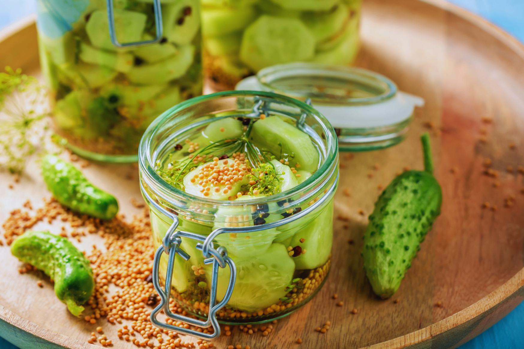 Schüttelgurken Gurken einlegen und haltbar machen FreshMAG
