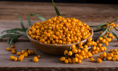 Sanddorn – die Zitrone des Nordens