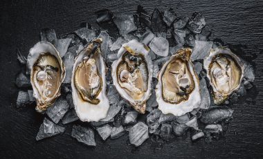 Austern einfrieren und auftauen