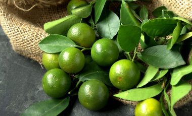 Calamansi – Was steckt hinter der tropischen Frucht?