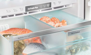 Що таке BioFresh-Plus?