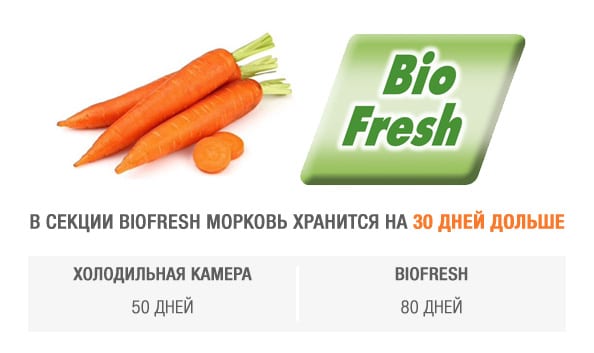 В зоне свежести BioFresh морковь хранится до 80 дней