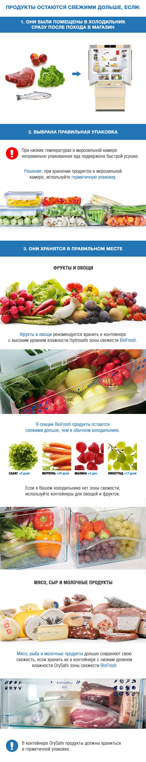 Хранение свежих продуктов - инфографика