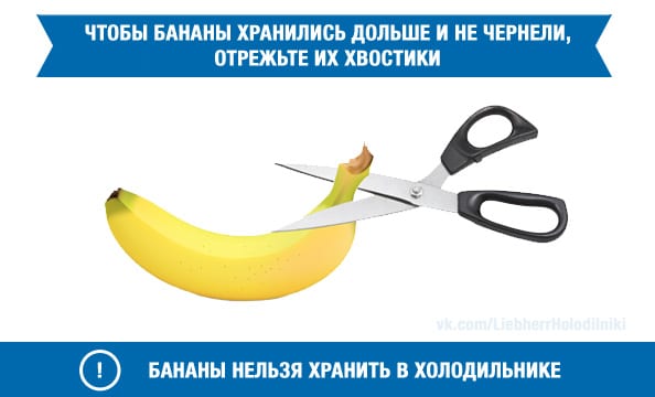 Бананы нельзя хранить в холодильнике
