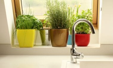 Хранение пряностей: 7 простых правил