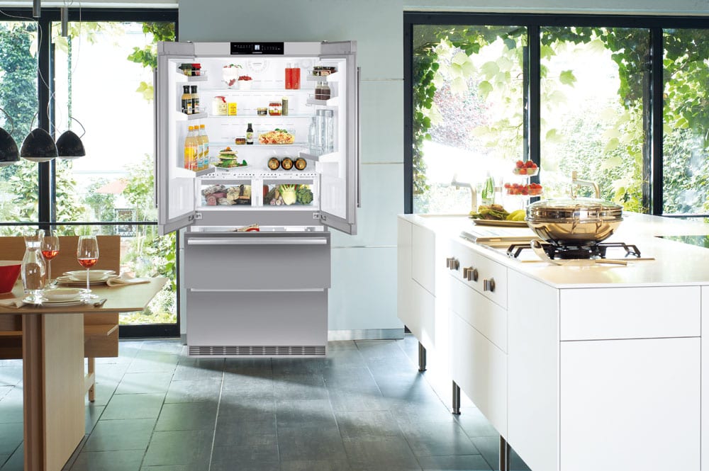 дизайн холодильника с французской дверью