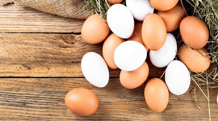 Advertentie Verhoog jezelf voorspelling Wat was er eerder; de kip of het ei? 11 minder bekende feiten over eieren.  - FreshMAG