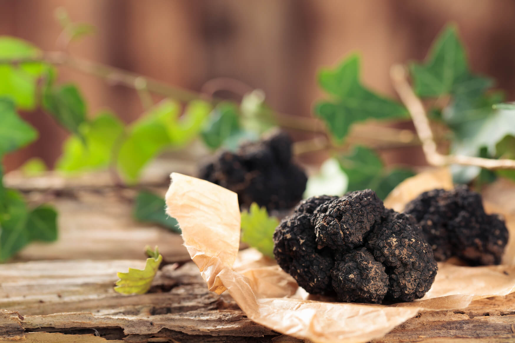 Truffels: een ware delicatesse - FreshMAG