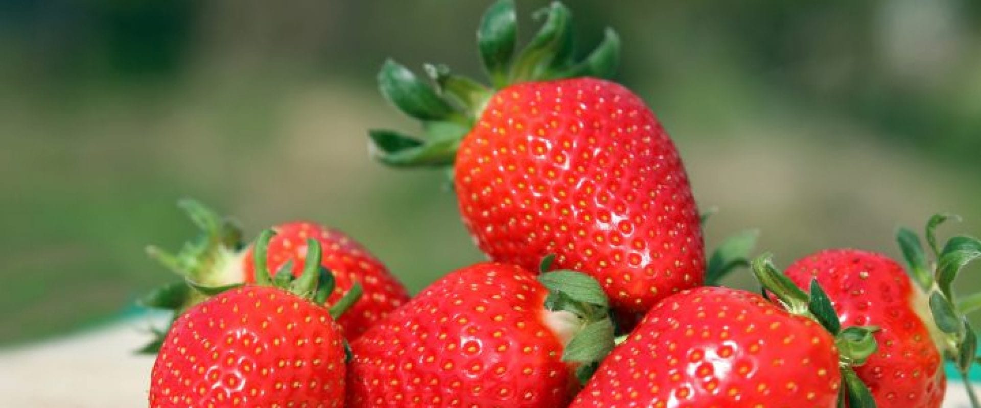 Jordbær - lavt kalorieindhold - højt C-vitaminindhold
