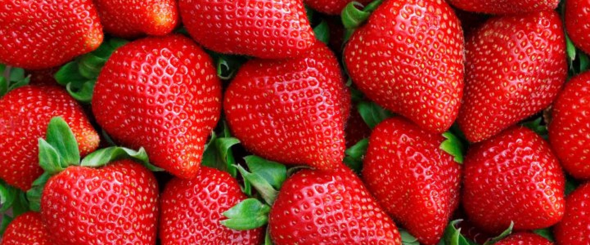 Jordbær - udsøgt smag, rig på vitaminer