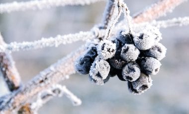 KĀ PAREIZI ATKAUSĒT SALDĒŠANAS KAMERU