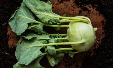 Kolrābis – labi garšo un ir vitamīniem bagāts